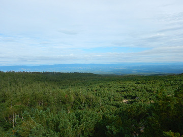 DSCN5754