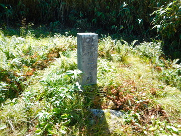 DSCN3966