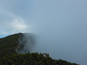 DSCN7739
