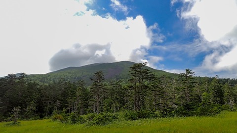 P8030106