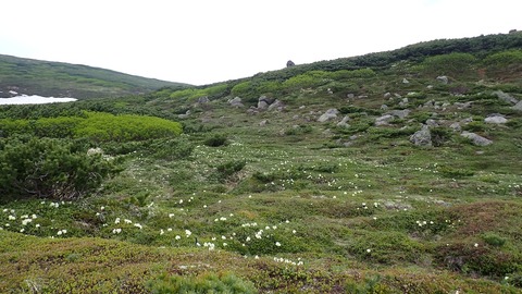 P6230085