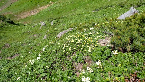 P6300097