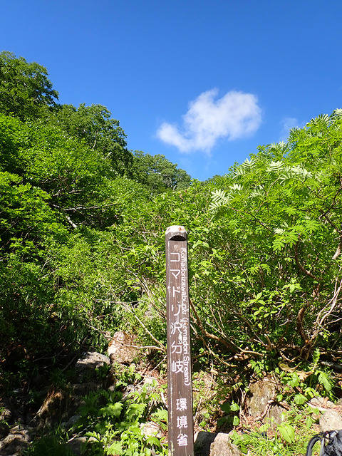 P7120041