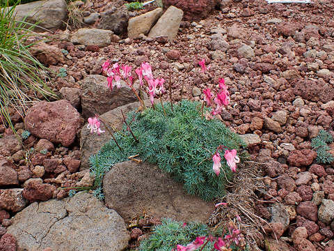 P8030186