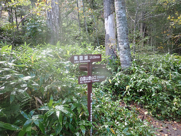 PA020129