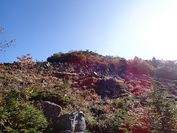 PA020026