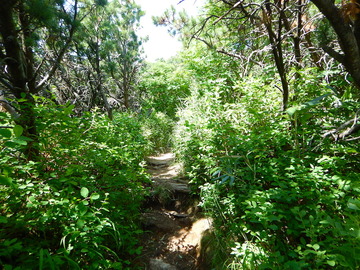 DSCN3371