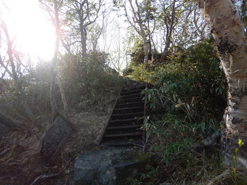 DSCN7343
