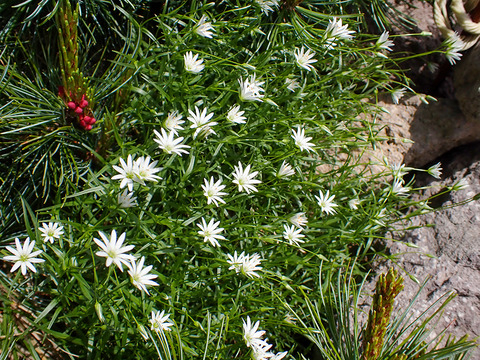 P7060075