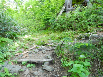 DSCN3347