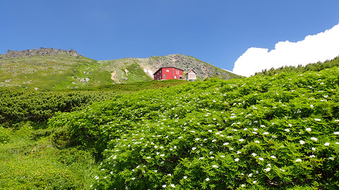 P7150125