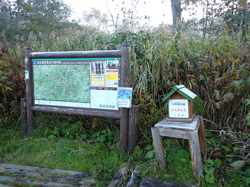PA090005