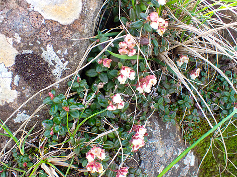 P7050070