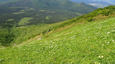 P6300077