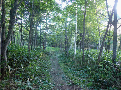 P7120003