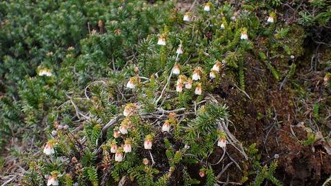 P6230060