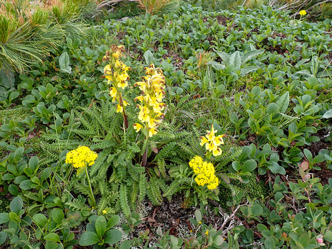 P7130143