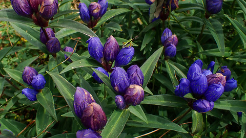P8250155