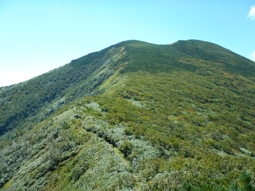 DSCN3936