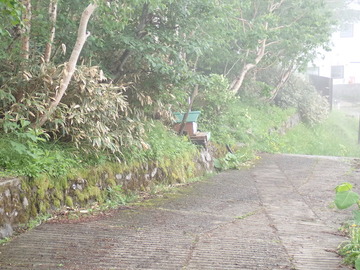 P7030183