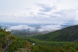 DSC_0224