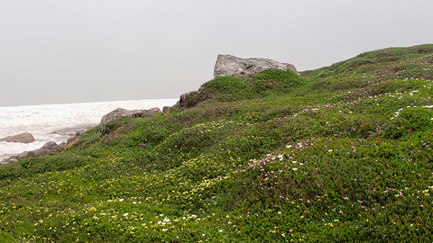 P7130175