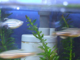 DSCF2979