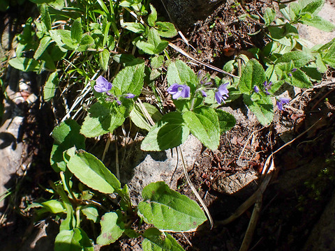 P7120050