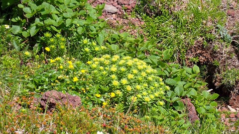 P6300054