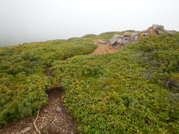 DSCN5084