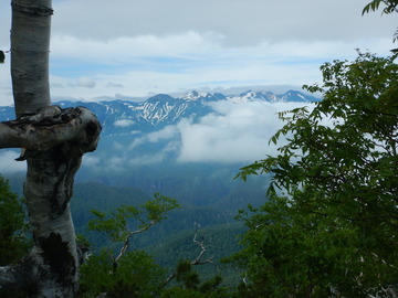 DSCN5004