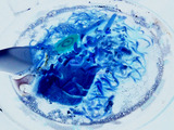 CA3H0238_2