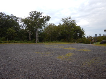 DSCN6679