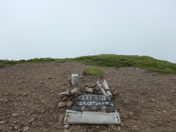 DSCN5071