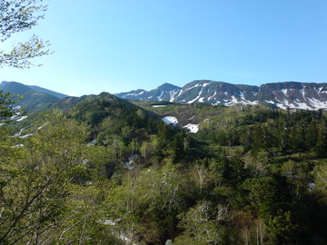 DSCN7339