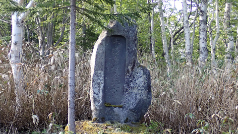 P6020008