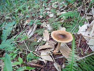 P8270025
