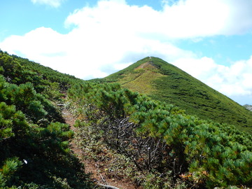 DSCN3943