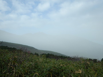 DSCN2951