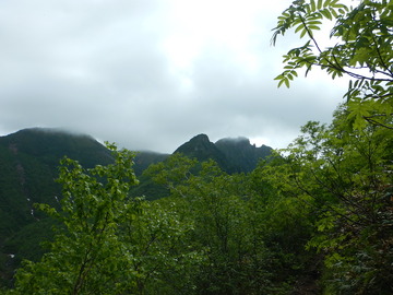 DSCN5012