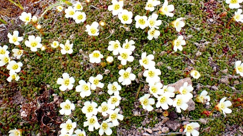 P6160101
