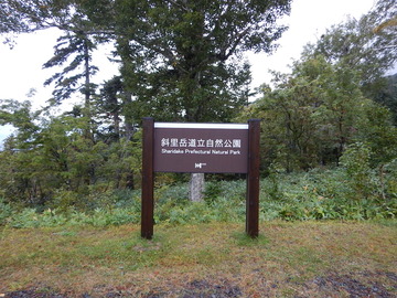 DSCN6684