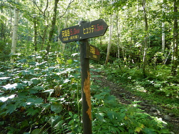 DSCN3882