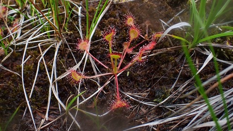 P8030074