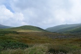 DSC_0099