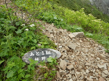 DSCN5041