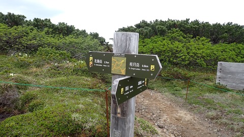 P6160062