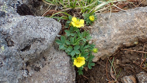 P6230026