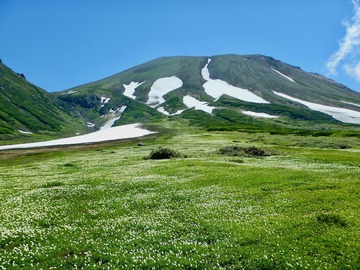 DSCN3770