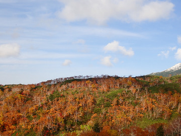 PA090207